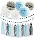 First Birthday Boy Decorations Baby Blue White Grey Baby Boy First Birthday Party Decorations Tissue Paper Pom Pom Tassel Garland Circle Garland for Gey Elephant Baby Shower Decorations Boy