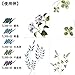 Akashiya Fude Brush Pen Sai Thin Line, 5 Colors (TL300/VA)