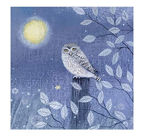 Little Owl Greeting Card with White Envelope Coast and Country