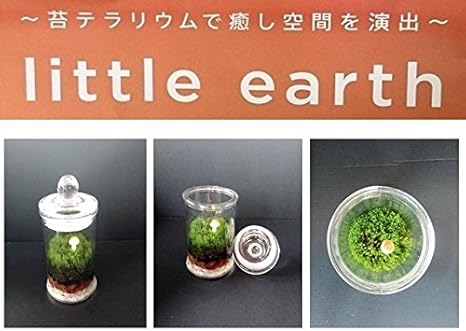 Amazon コケ の テラリウム リトルアース キャニスターs 小さな瓶の中の 癒し空間 送料無料 観葉植物 オンライン通販