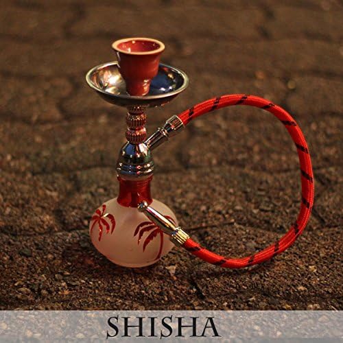 Amazon シーシャとしてすぐに使える嬉しいスターターセット世界一小さいシーシャ 赤 スターターセット １台 Mini Marine Yanhu ホーム キッチン 通販