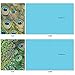 The Best Card Company - Boxed Set of 10 Bird Thank You Notecards with Envelopes 4 x 5.12 inch, Feathered Animal Gratitude - Fancy Feathers M3003