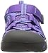 KEEN Newport H2 Closed Toe Water Sandals, Purple Heart/Periwinkle, 11 US Unisex Little Kid