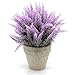 Velener Mini Artificial Flowers Provence Lavender Arrangements in Pots for Home Decor (Purple)