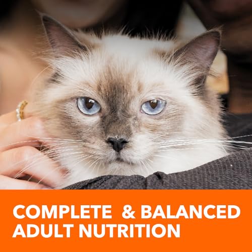 IAMS PROACTIVE HEALTH ADULT INDOOR WEIGHT CONTROL & HAIRBALL CARE DRY CAT FOOD WITH CHICKEN & TURKEY CAT KIBBLE, 7 LB. BAG