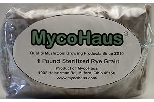 MYCOHAUS 6 Pack One Pound Bags Sterilized Rye Grain Berries