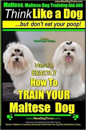 crate training maltese