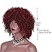 AISI HAIR Synthetic Afro Curly Hair Wigs Full Red Wig Short Curly Wigs for Women Kinky Curly(red)