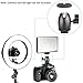 Neewer 14-inch 50W 5500K Camera Ring Light and Light Stand Lighting Kit - Dimmable Fluorescent Ring Light and 6.5 feet Light Stand with Ball Head Hotshoe Adapter for Camera Photo Studio YouTube Video