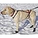 Ultra Paws Adjustable Pulling Harness - Large/Dogs 30-75 lbs