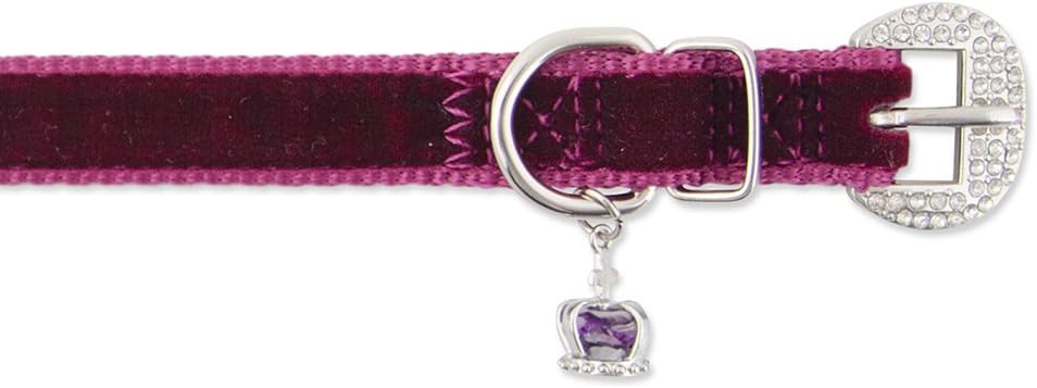 Ancol Small Bite Crown Jewel Collar, Purple/Amethyst, Small