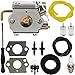 Dalom 753-04333 Carburetor w Air Filter Fuel Line for MTD Ryobi 700r 720r 725r 775r 790r 600r 704r 705r 725rE 750r 765r 766r 767r String Trimmer Brushcutter primary
