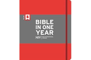 NIV Journalling Bible In One Year