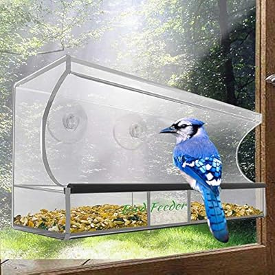 Bird Feeder Weatherproof Design Squirrel Resistant Window Bird