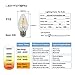 LightStory E26 LED Decorative Bulb F15, 2700K Non-Dimmable LED Filament Bulb (3W=40W)