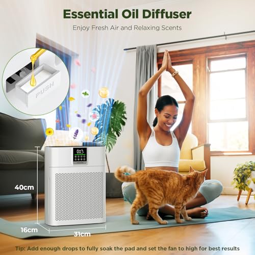 Air Purifier for Home and Bedroom up to 2180 ft², CADR 200 m³/h, TENKER HEPA Air Cleaner with PM2.5 Monitor, Auto Mode, Washable Pre-Filter & HEPA Filter for Pollen, Dust, Smoke & Pet Odours–AP2410