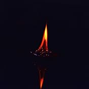 Sigma 50 mm f/1.4 - Objetivo para Nikon (50mm, f/1.4, Zoom óptico ...