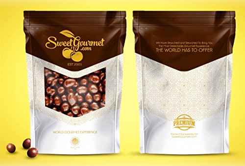 SweetGourmet Dark Chocolate Covered Peanuts | 1 Pound