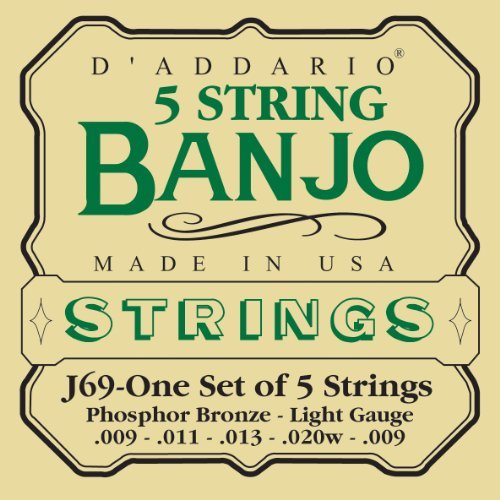 D'Addario J69 5-String Banjo Strings, Phosphor Bronze, Light, 9-20
