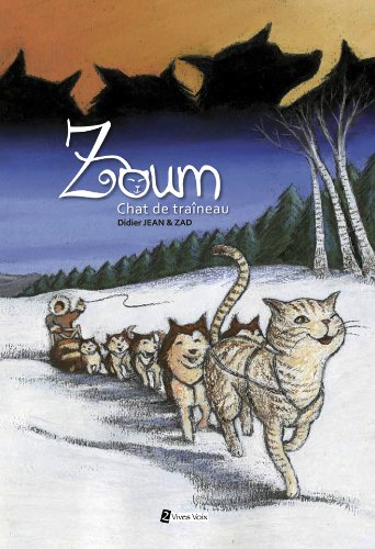 Zoum chat de traîneau