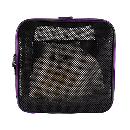 Soft Pet Carrier for Large and Medium Cats, 2 Kitties, Small Dogs. Easy to Get Cat in, Great for