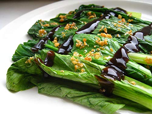 Portal Cool 10 G 4350 Seeds Vegetable Garden Choy Sum Yard Patio Balcony Yard D285