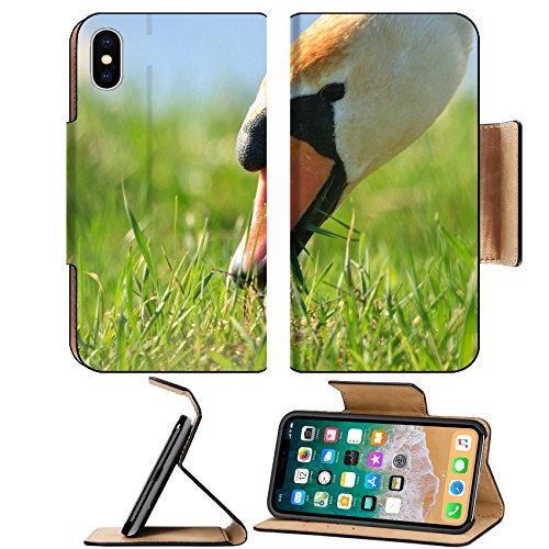 Liili Premium Apple Iphone X Flip Pu Leather Wallet Case