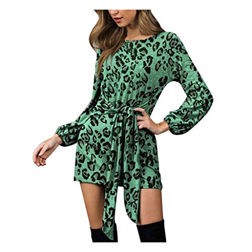 Amlaiworld Women Plus Size Sweater Dress Ladies Leopard Printed Round Neck Tunic Long Sleeve Dress Green