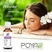 Lavender Essential Oil (French) 30 ml (1 fl. oz.) - GCMS Tested, 100% Pure and Undiluted