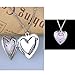 YOUFENG Love Heart Locket Necklace Thar Holds Pictures Heart Circle Shape Lockets Gift for Girl Boy Jewelry (Heart Locket)