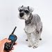 Dog Training Collar with 3 Modes: Beep, Vibration and Shock, Electronic Dog Shock Collar Dog Trainer System, AsyPets 450 yd Rechargeable Remote Waterproof for Small & large dogs