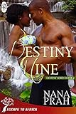 Destiny Mine (Destiny African Romance #2) (Destiny African Romance Series)