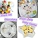 [FLASH SALE] Silicone Chocolate Candy Molds | Jelly Gummy Pudding Ice Cake Soap Ganache Baking Mold | Bonus eBOOK + Small Bags + Spatula | Non stick BPA free Professional Decorating | Many Cute Shapes