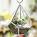 NCYP 5.3 inches Silver Handmade Wall Hanging Geometric Glass Terrarium Window Sill Balcony Succulent Planter Small Indoor Decoration Flower Pot Vase Centerpiece for Wedding Table (No Plants)