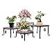 Metal Plants Stand Flowerpot Holder Iron Art Pot Holder, AISHN Flower Pot Supporting Indoor Outdoor Garden Pack of 4pcs with Different Size primary