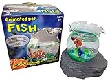Pet Fish Aquarium