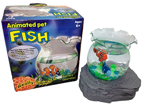 Pet Fish Aquarium