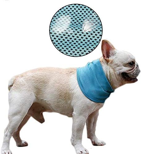 DELIFURDog Instant Cooling Bandana Pet Breathable Scarf Cats Ice Collar for Summer (Blue, M)