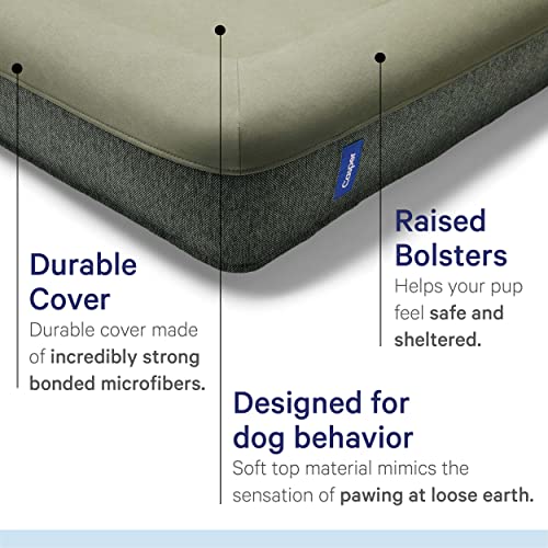 Casper Dog Bed, Plush Memory Foam, Medium, Eucalyptus Pricepulse