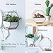 Modern Wall Planter, Metal Wire Octagon Design Wall-Mounted Shelves with Ceramic Flower Pot, Air Plant Container Hanging Vase Desktop Succulents Planter Goldthumb 2