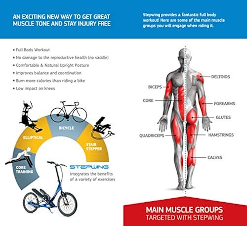 Muscles What Does Riding A Bike Do For Your Body Muscles What