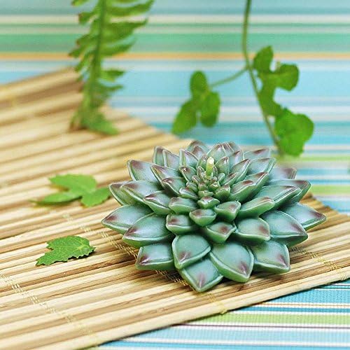 Osye Green Succulent Plant Candles for Birthday/Party, Smokeless