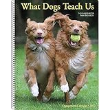 What Dogs Teach Us 2020 Engagement Calendar by