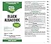 Pool Mate 1-2190 Black Algaecide for Swimming Pools, 1-Quart