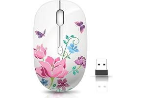 Wireless Mouse with Nano Receiver for PC, Laptop, Notebook, Computer, MacBook, Less Noise, Portable Mobile Optical Mice