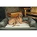 Great Dane - XL Dog Bed Hypo-loft Fiber and Orthopedic Foam - Removable-cover Baxter Dog Couch - Sage/Cream by Hidden Valley
