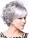 FENCCA Short Curly Wigs for Women Silver Gray Bob Fluffy Hair Wigs Natural Looking Fashion Hair Wigs with Free Wig Cap (G1) FC017