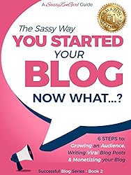 You Started a Blog - Now What....?: 6 Steps to Growing an Audience, Writing Viral Blog Posts & Monetizing your Blog (Beginner Internet Marketing Series Book 2)