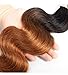 Sakula Ombre Body Wave 100% Human Hair Bundles Brazilian Unprocessed Double Drawn Weft Virgin Remy Hair Extensions with 1B/30 Color (18 18 20 20 inch)…
