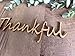 Thankful wood cutouts, fall plate decorations